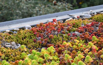 the cost of Newport Pagnell green roof installation