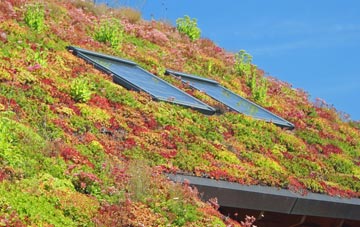Newport Pagnell living roof systems